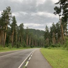 от Александра Шумовича