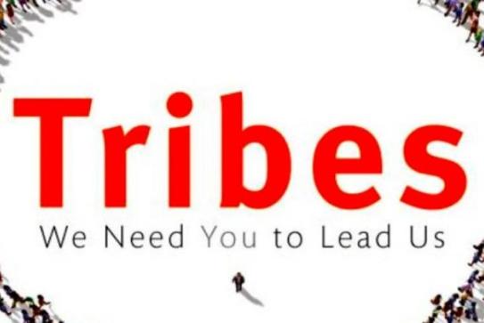 Сет Годин Tribes